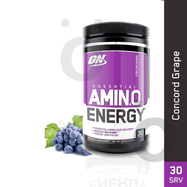 ON Amino Energy Pre Workout BCAA Amino Acids Concord Grape price in Bangladesh (pordeshi.com)