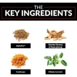 FORCE FACTOR TESTOSTERONE BOOSTERS TEST X180 LEGEND - Image 2